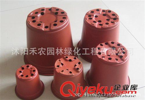 花盆容器 批發雙色花盆塑料 紅黑育苗盆 移植盆 耐摔不爛壞軟的 花盆雙色盆原始圖片3