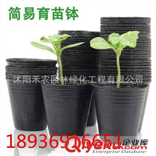 花盆容器 批發(fā)紅色 白色托盤 花盆托盤塑料托盤 花盆托底 圓形托盤規(guī)格齊全