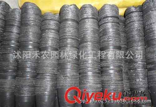 花盆容器 大量供應(yīng)防老化園林農(nóng)用營養(yǎng)缽營養(yǎng)杯育苗盆批發(fā)原始圖片3