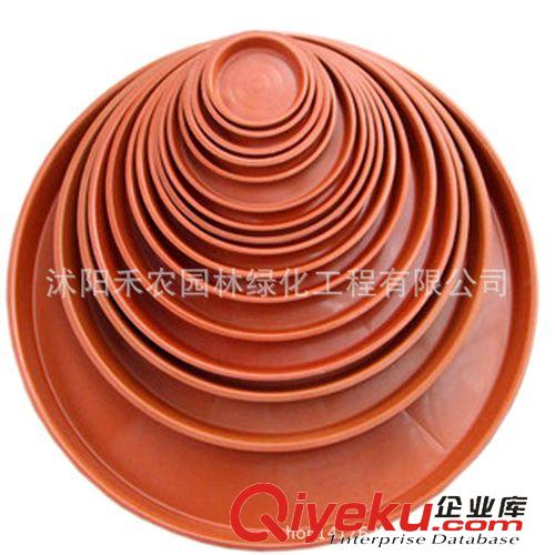 花盆容器 批發(fā)紅色 白色托盤 花盆托盤塑料托盤 花盆托底 圓形托盤規(guī)格齊全原始圖片3