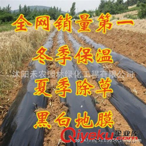 農用薄膜 加厚型塑料大棚膜養殖黑白膜 塑料布 塑料薄膜2s 4s 6s 8s 10s12s