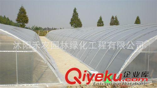 農用薄膜 加厚型塑料大棚膜養殖黑白膜 塑料布 塑料薄膜2s 4s 6s 8s 10s12s原始圖片3