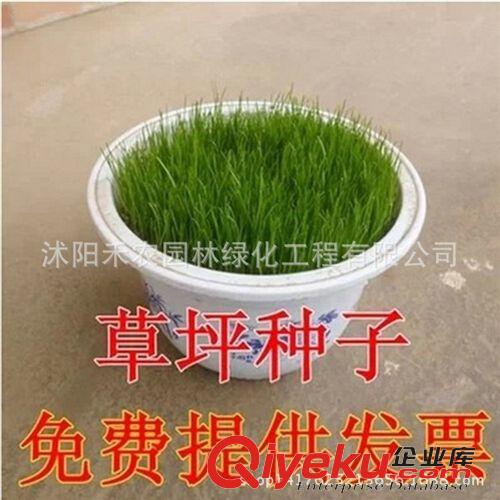 農用薄膜 加厚型塑料大棚膜養殖黑白膜 塑料布 塑料薄膜2s 4s 6s 8s 10s12s