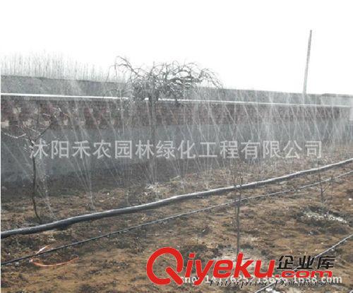 灌溉工具 滴灌帶滴水管澆水管霧管 微噴帶節(jié)水噴灌帶軟管帶噴水管 灌溉水帶原始圖片2