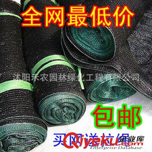 農用遮陽網 廠家直銷 6針黑色遮陽網 防曬網 pe網 遮陽率是95% 塑料網 農用