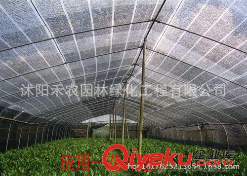 農用遮陽網 廠家直銷 6針黑色遮陽網 防曬網 pe網 遮陽率是95% 塑料網 農用
