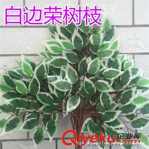 仿真樹枝 gf真絲印榕樹枝，42片葉白邊榕樹枝，工程景觀專用樹葉，樹枝