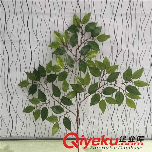 仿真樹枝 gf真絲印榕樹枝，42片葉白邊榕樹枝，工程景觀專用樹葉，樹枝