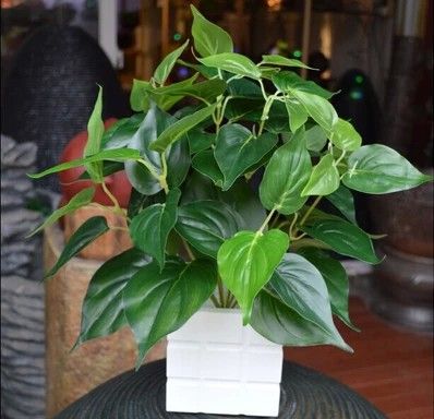 仿真植物盆栽 【新品熱銷】仿真綠植盆栽 仿真植物 gf海航綠蘿 仿真綠蘿批發(fā)