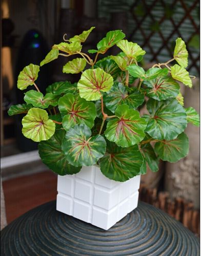 仿真植物盆栽 【新品熱銷】仿真綠植盆栽 仿真植物 gf海航綠蘿 仿真綠蘿批發(fā)原始圖片2