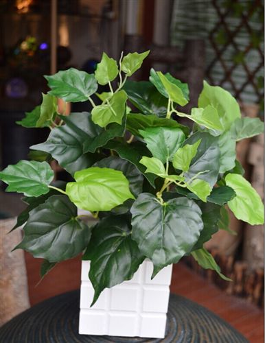 仿真植物盆栽 【新品熱銷】仿真綠植盆栽 仿真植物 gf海航綠蘿 仿真綠蘿批發(fā)原始圖片3