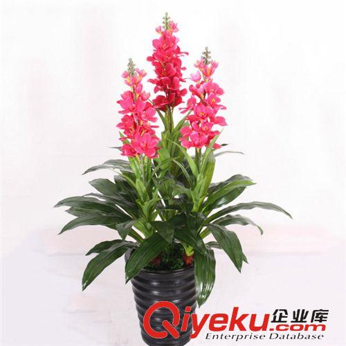 仿真植物盆栽 福州仿真花PU過(guò)膠小蕙蘭 假花 裝飾仿真盆景 仿真花朵廠家批發(fā)原始圖片2