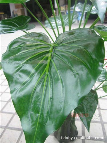 仿真植物盆栽 福州假花廠家直銷(xiāo) 仿真花客廳落地仿真植物盆景仿真PU過(guò)膠紅掌原始圖片3