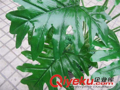 仿真植物盆栽 福州仿真樹批發(fā) 假樹 仿真植物 仿真綠植 報(bào)喜春雨原始圖片2