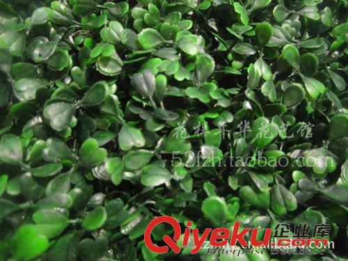 仿真草皮綠地毯(綠植墻) 仿真草坪40*60CM瓜子草雙層加密綠色塑料草地綠植墻裝飾批發(fā)原始圖片2