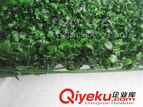 仿真草皮綠地毯(綠植墻) 仿真草坪40*60CM瓜子草雙層加密綠色塑料草地綠植墻裝飾批發(fā)原始圖片3