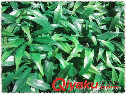 仿真草皮綠地毯(綠植墻) 仿真草坪40*60CM瓜子草雙層加密綠色塑料草地綠植墻裝飾批發(fā)