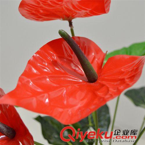 仿真花/裝飾花 批發(fā)仿真花PU過膠50厘米手感仿真小紅掌 假花仿真花盆景 仿真盆栽原始圖片3