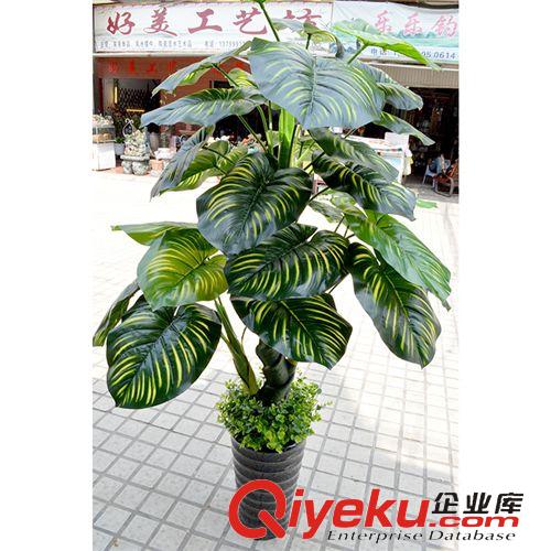 仿真樹/假樹 熱賣仿真樹植物室內酒店客廳裝飾綠色塑料假樹批發(fā) 1.5米滴水觀音原始圖片2