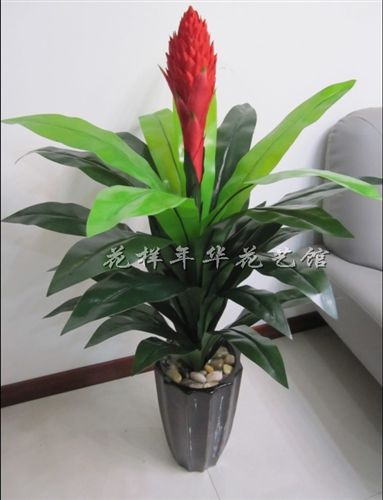 仿真樹/假樹 批發(fā)仿真發(fā)財樹仿真樹塑料植物室內(nèi)酒店客廳裝飾綠色假樹 1.7米