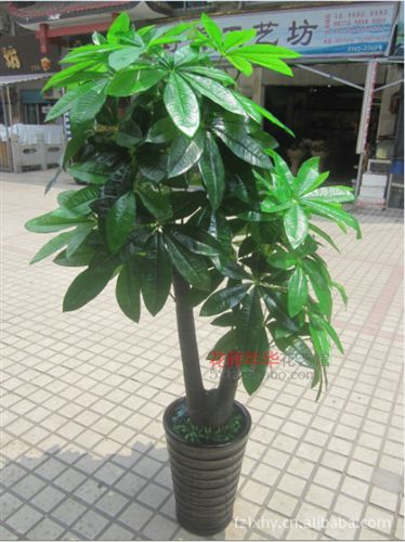 仿真樹/假樹 批發(fā)仿真發(fā)財樹仿真樹塑料植物室內(nèi)酒店客廳裝飾綠色假樹 1.7米原始圖片3