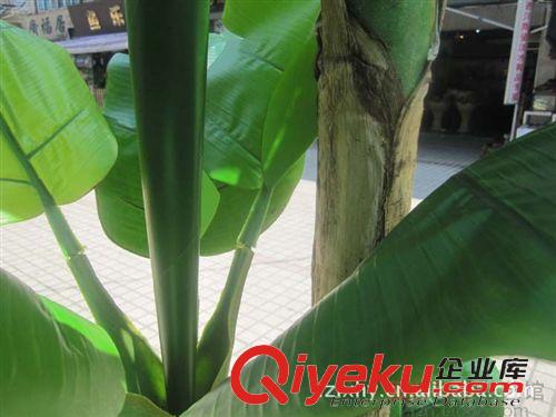 仿真樹/假樹 仿真樹植物綠色假樹過膠仿真植物室內(nèi)大廳酒店裝飾大型香蕉芭蕉樹原始圖片3