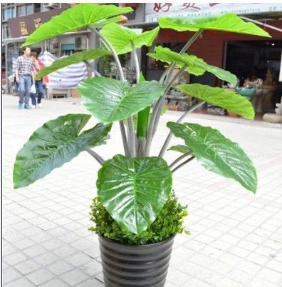 仿真樹/假樹 福州假花廠家直銷 仿真花客廳落地仿真植物盆景仿真PU過膠紅掌