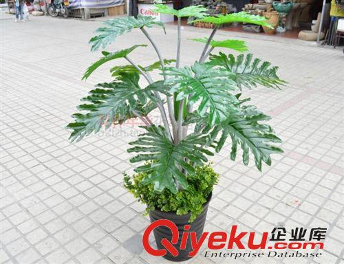 仿真樹/假樹 福州仿真樹批仿真植物假樹批發(fā)落地盆景gf真1.1米紫桿滴水觀音原始圖片3