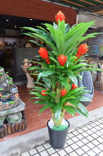 仿真樹/假樹 仿真樹家居裝飾仿真植物仿真花酒店大廳塑料假樹 1.7米3桿開門紅