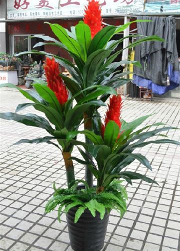仿真樹/假樹 仿真樹家居裝飾仿真植物仿真花酒店大廳塑料假樹 1.7米3桿開門紅