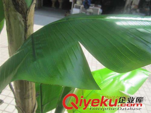 芭蕉樹 仿真樹植物綠色假樹過膠仿真植物室內(nèi)大廳酒店裝飾大型香蕉芭蕉樹原始圖片2