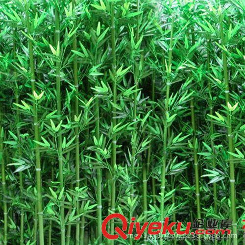 仿真竹子 【熱銷】福州批發(fā)仿真竹子盆景假竹子家居裝飾仿真過膠葉毛竹細竹