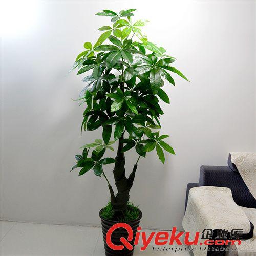 熱銷專區(qū) 廠家直銷仿真樹 室內(nèi)仿真植物盆景酒店商場裝飾仿真發(fā)財(cái)樹 假樹