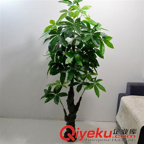 熱銷專區(qū) 廠家直銷仿真樹 室內(nèi)仿真植物盆景酒店商場裝飾仿真發(fā)財(cái)樹 假樹原始圖片2