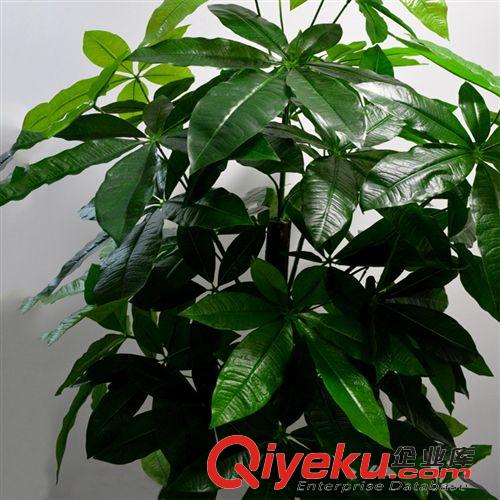 熱銷專區(qū) 廠家直銷仿真樹 室內(nèi)仿真植物盆景酒店商場裝飾仿真發(fā)財(cái)樹 假樹原始圖片3