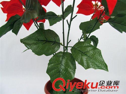 熱銷專區(qū) 廠家批發(fā)gd仿真花朵 客廳落地7頭仿真一品紅 節(jié)慶用品假花絹花原始圖片2