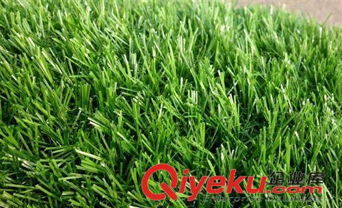 熱銷專區(qū) 【熱銷】仿真地毯廠家批發(fā)假草坪假草皮足球場操場活動裝修批發(fā)原始圖片3