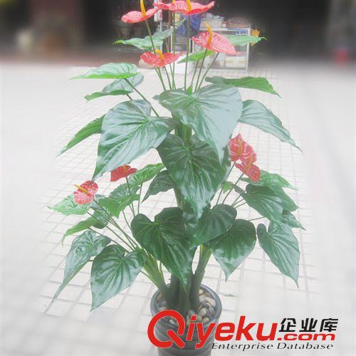 熱銷專區(qū) 福州假花廠家直銷 仿真花客廳落地仿真植物盆景仿真PU過(guò)膠紅掌原始圖片2