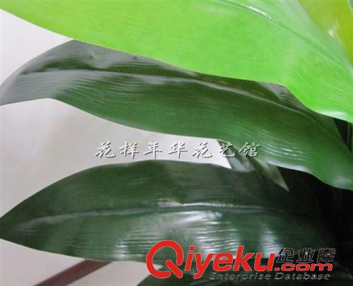 新品上市 福州仿真樹批發(fā) 假樹 仿真植物 人造風(fēng)水樹裝飾gf真1米鴻運(yùn)當(dāng)頭原始圖片2