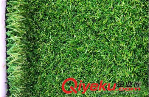 新品上市 【熱銷】仿真地毯廠家批發(fā)假草坪假草皮足球場操場活動裝修批發(fā)原始圖片2