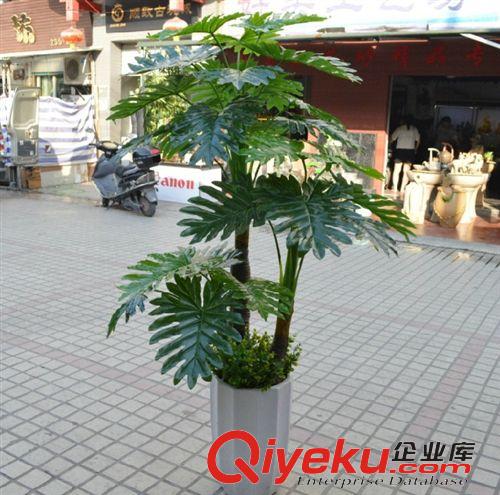新品上市 仿真草坪40*60CM瓜子草雙層加密綠色塑料草地綠植墻裝飾批發(fā)