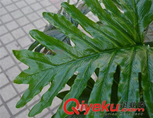 新品上市 仿真樹植物室內(nèi)大型綠色大廳酒店過膠假樹家居裝飾 1.7米三桿春雨原始圖片2