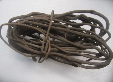 新品上市 福州仿真植物批發(fā) 仿真植物綠植墻gf真蕨類波斯葉