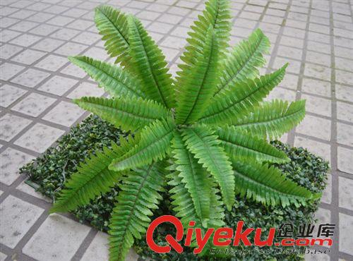新品上市 福州仿真樹批發(fā) 仿真植物 假樹家居風水樹gf真1.5米紅掌樹