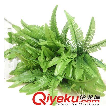 新品上市 福州仿真植物批發(fā) 仿真植物綠植墻gf真蕨類波斯葉原始圖片2