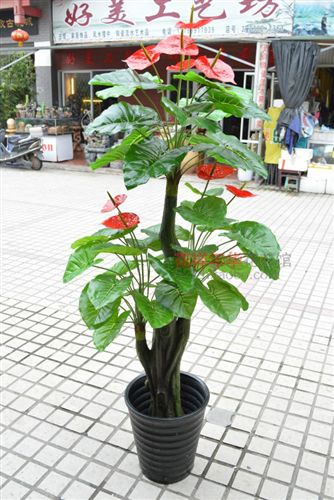 新品上市 福州仿真樹批發(fā) 仿真植物 假樹家居風水樹gf真1.5米紅掌樹原始圖片2