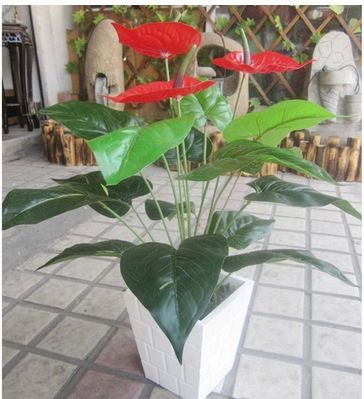 鎮(zhèn)店之寶 批發(fā)仿真花PU過膠50厘米手感仿真小紅掌 假花仿真花盆景 仿真盆栽