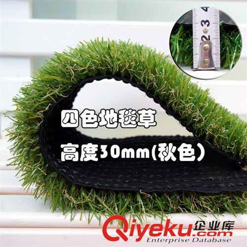 仿真地毯草 廠家直銷10MM15MM20MM30MM35MM單色雙色三色四色軍綠翠綠地毯草
