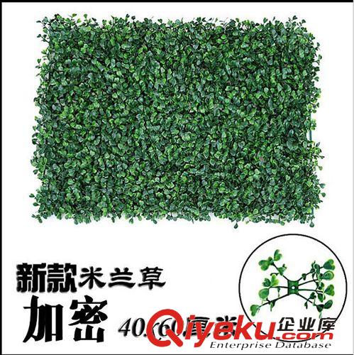 仿真塑料草坪，草球 廠家直銷仿真加密米蘭草 尤加利 金錢葉  大秧苗 塑料草坪 金魚草原始圖片2