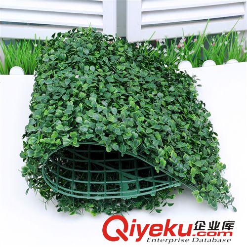 仿真塑料草坪，草球 廠家直銷仿真加密米蘭草 尤加利 金錢葉  大秧苗 塑料草坪 金魚草原始圖片3